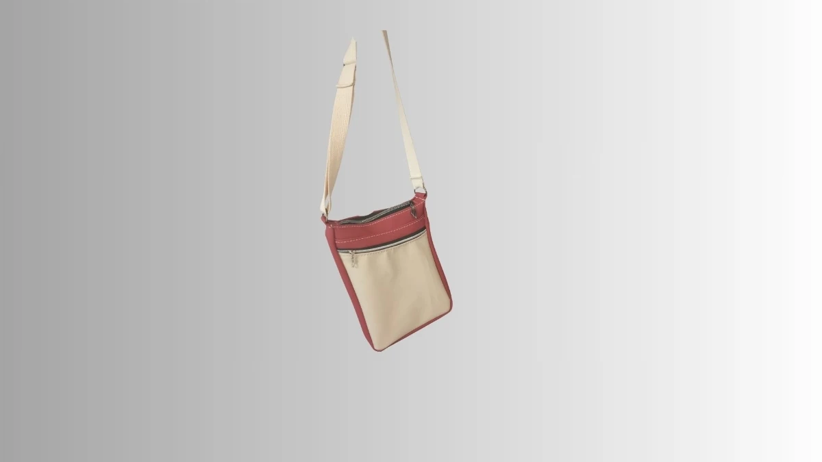 sac a main bandoulière
